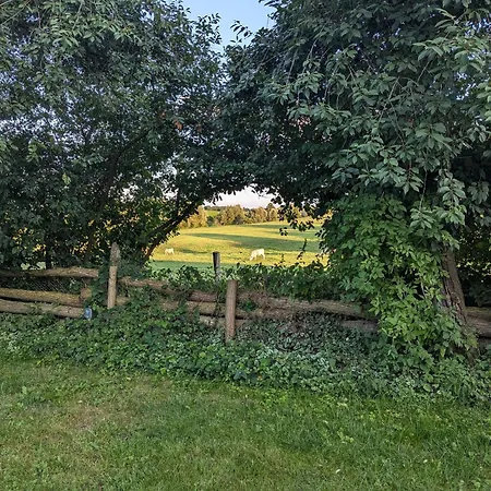 In Berkenlatten Mit Grosser Terrasse Gerswalde